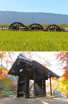 朝倉市風景