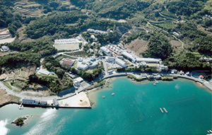 医療法人 栄寿会 真珠園療養所