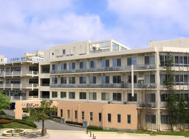 医療法人 大平会 嶺井第一病院