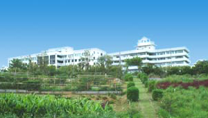 医療法人 和泉会 いずみ病院