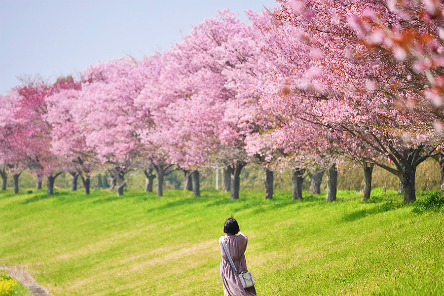 茨城県常陸大宮市風景1
