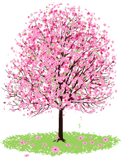4月・5月入職に向けた転職―桜咲く転職をしよう！