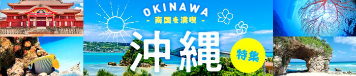 仕事が全てではない人生を! 医師の方へお送りする「沖縄移住のススメ」
