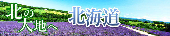 ～北の大地へ～ 北海道で週4日勤務